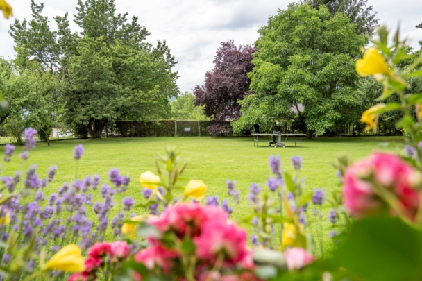 Unser Garten 3500 qm zum Entspannen